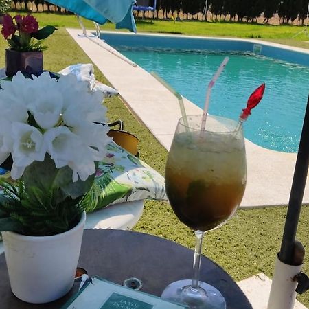 Casa Villa El Olivar 韦尔瓦 外观 照片